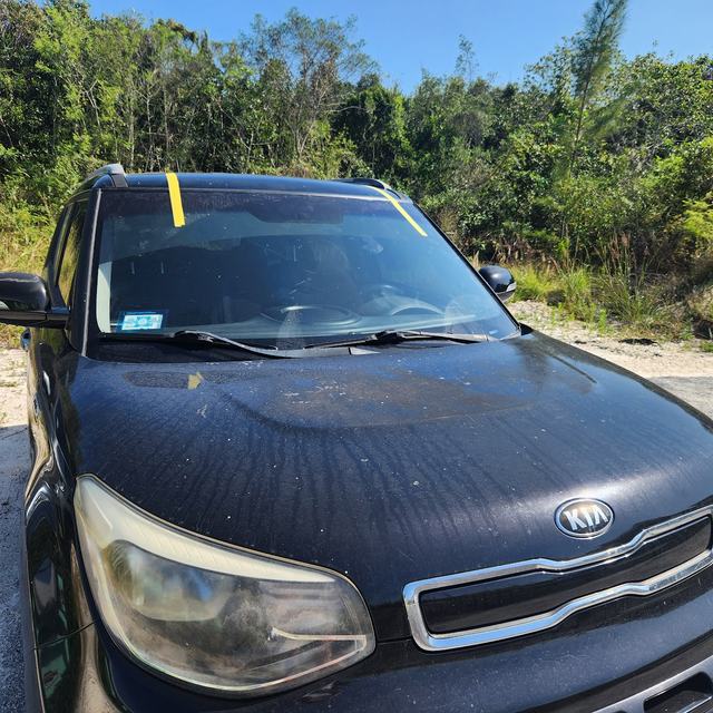New windshield taped while it sets